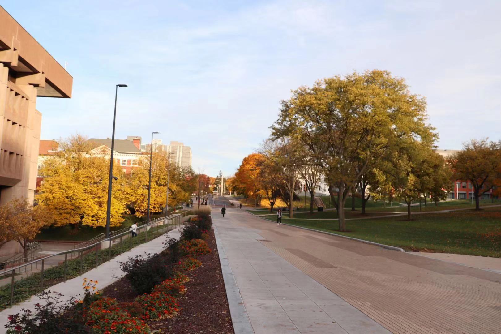 布兰迪斯大学申请截止时间